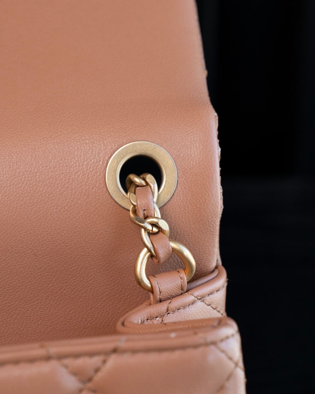 image_1C44140E-11AE-4B4A-9EC4-7AB787105143_1773313477