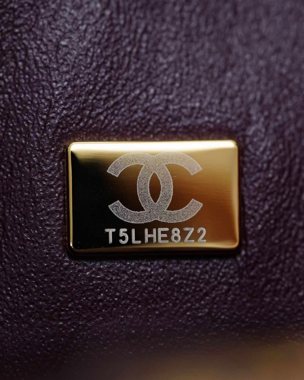 image_22176218-8482-4124-8D30-E55EC25D49C6_1773326557