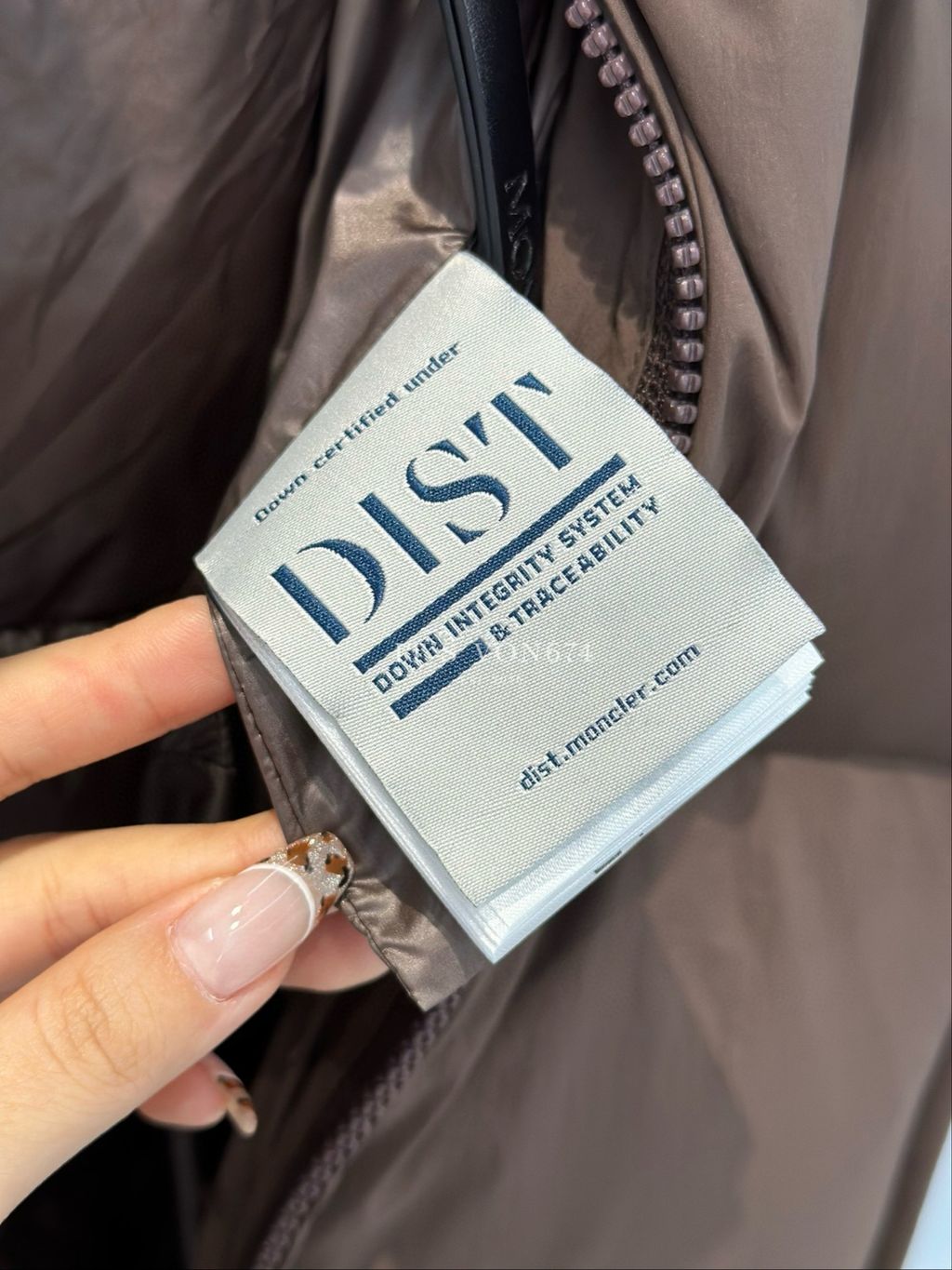 IMG_1388-1734022443431