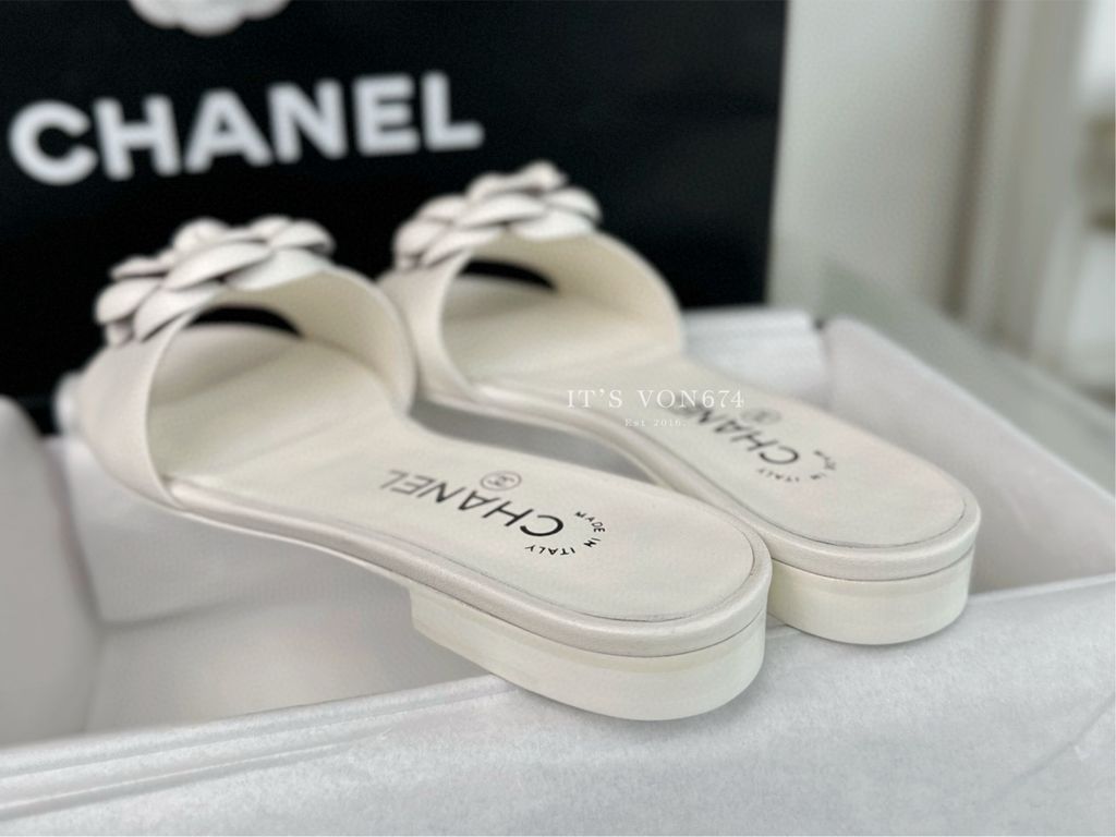 image_CDD66259-4C29-4E35-B183-8F60E946978D_1759958888