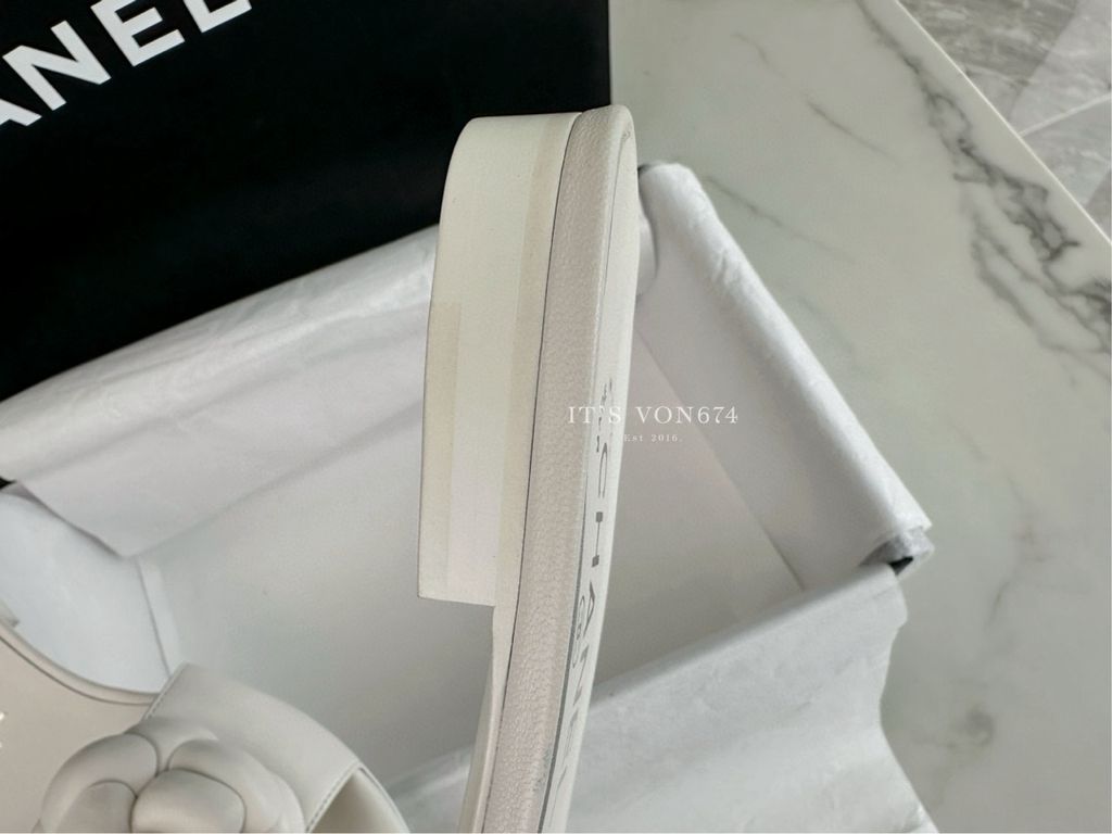 image_22586DCC-46E6-4D3A-8756-4D5251CC2F0C_1759958888