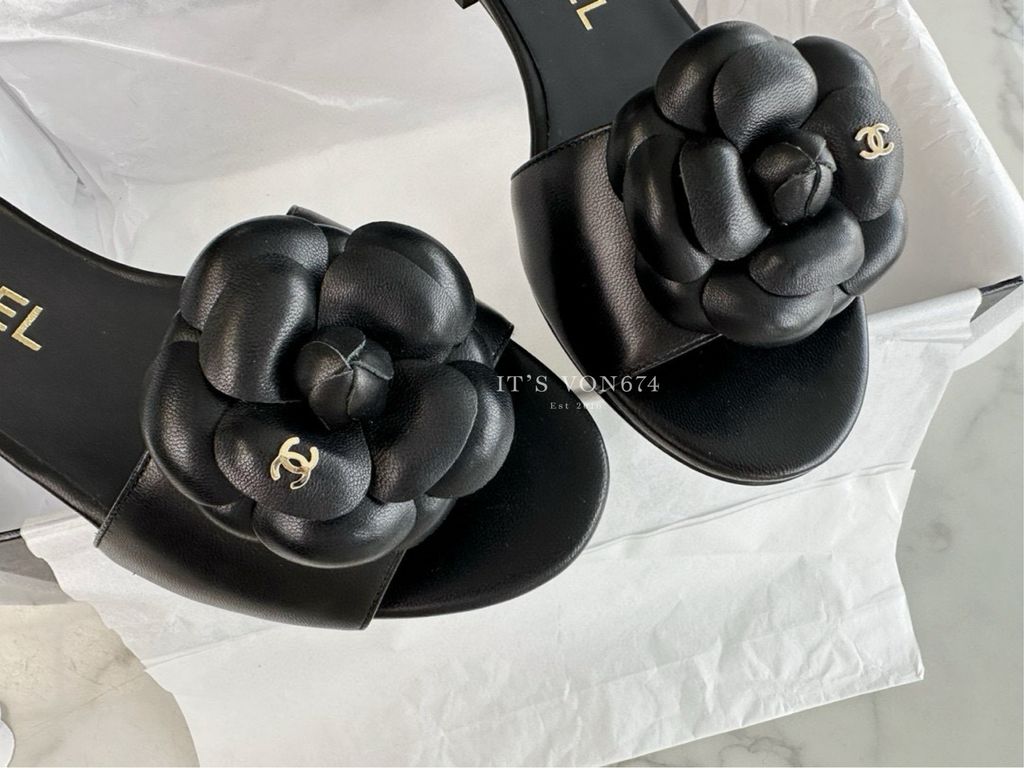 image_3E34A5F5-0EEC-49B2-86B7-37E3C14A8760_1759959459