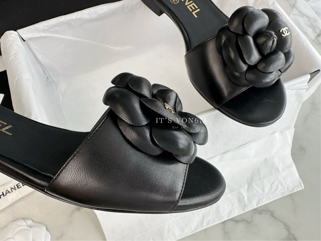 image_6071DCF6-B1DA-4581-AF8C-A4E4138104F2_1759959459