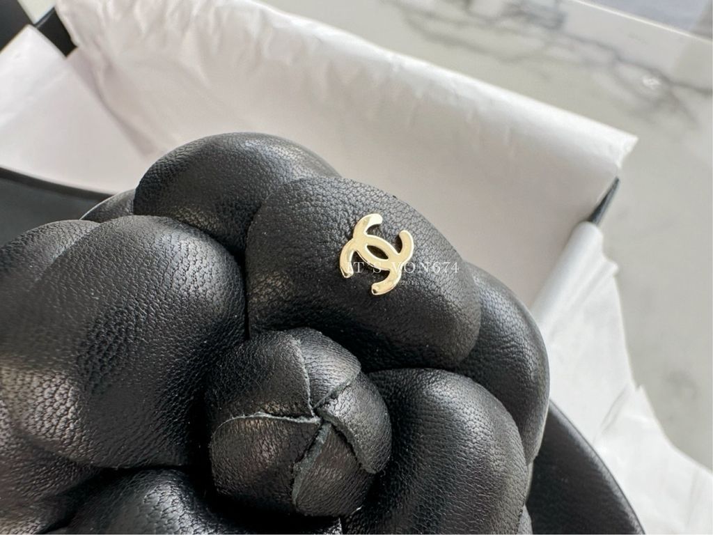 image_9D2A6CEC-390D-48A8-9EBB-678F98F160E0_1759959459