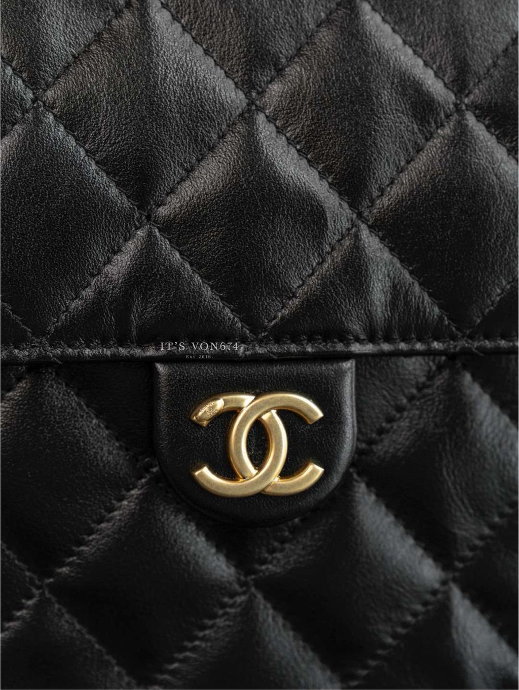 image_8C831F44-B21D-4401-BB98-C4E4873493E9_1762169145