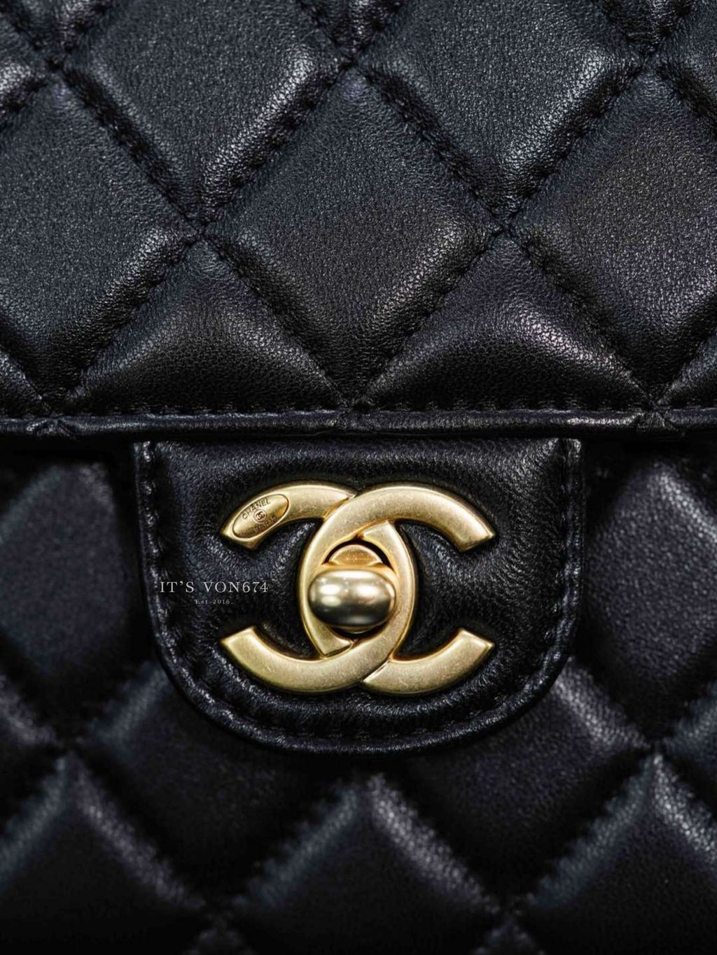 image_564A6D2F-A279-4805-BA1D-E983B1563E5D_1762504074