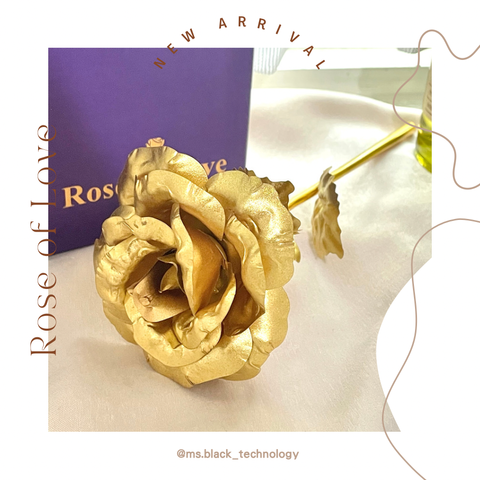 D0BEE2C1-112E-467A-8997-2988F8E3270B