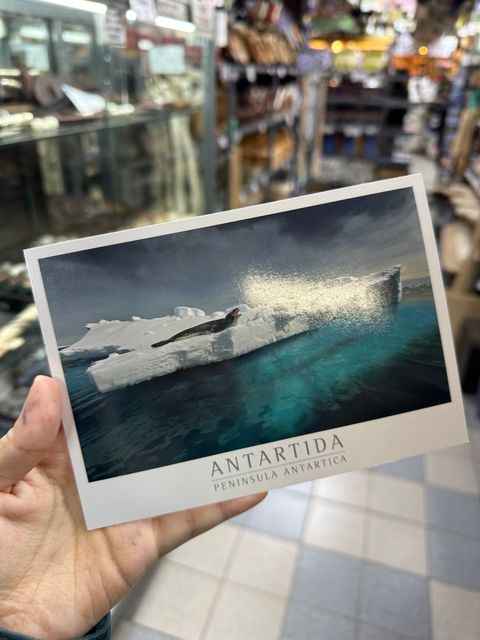 IMG_4865-1730166325247