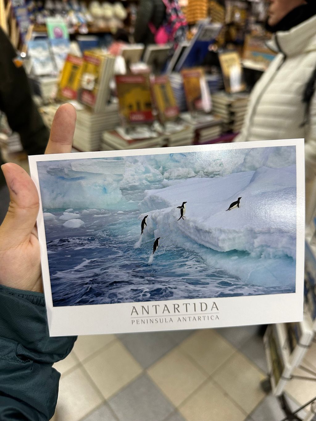 IMG_4869-1730166324911