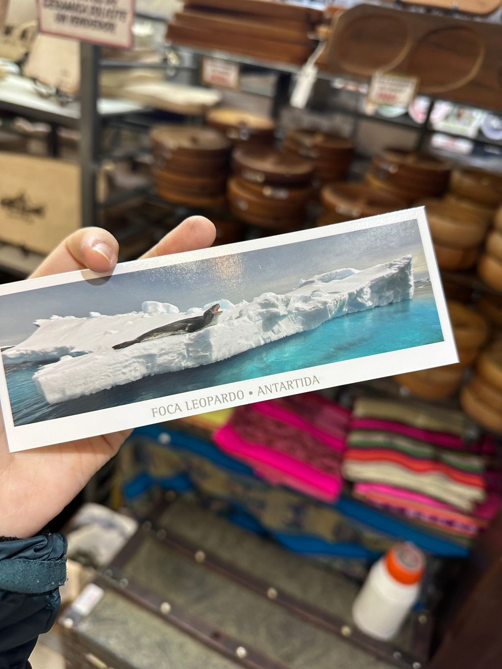 IMG_4860-1730166362958