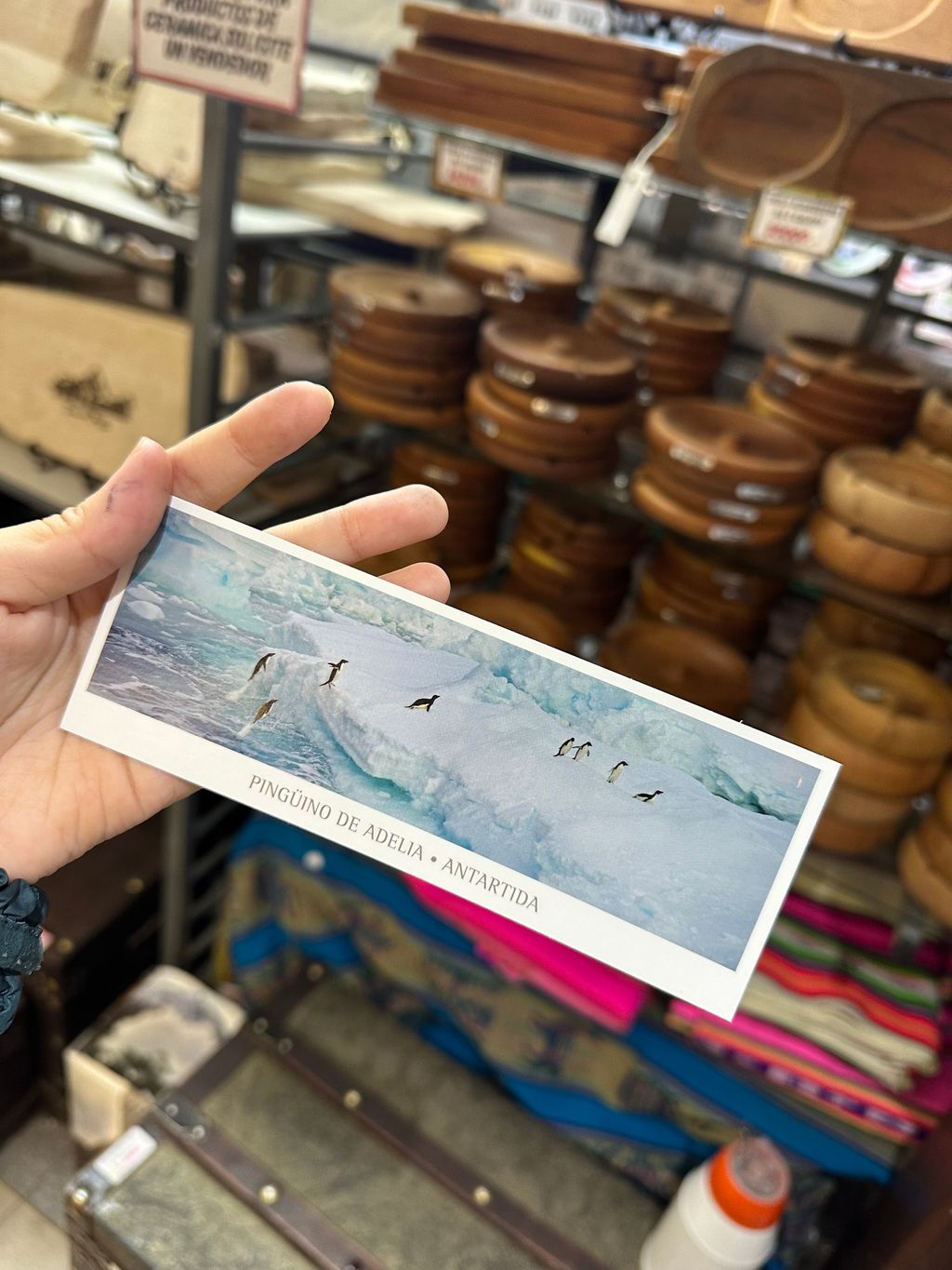 IMG_4857-1730166363110