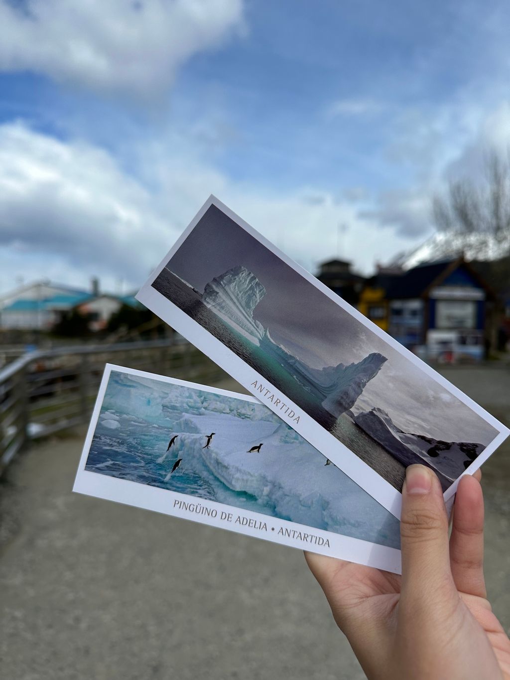 IMG_4928-1730216411178