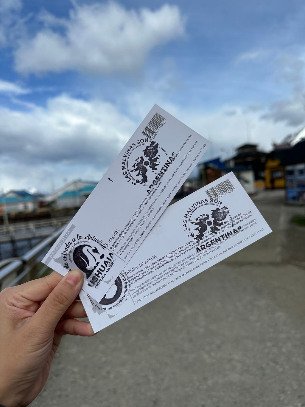 IMG_4926-1730216705740