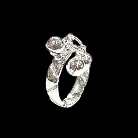 image_46373DB9-5B98-403E-B828-31F9C5759234_1755586630