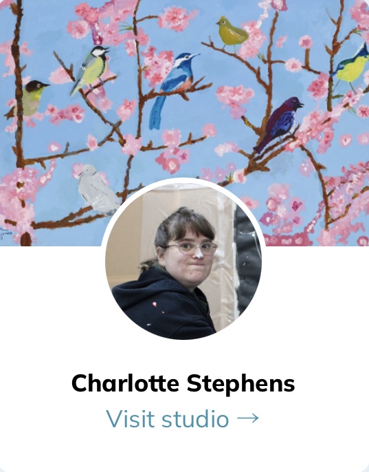 CharllotteStephens_VisitStudio CharllotteStephens_VisitStudio