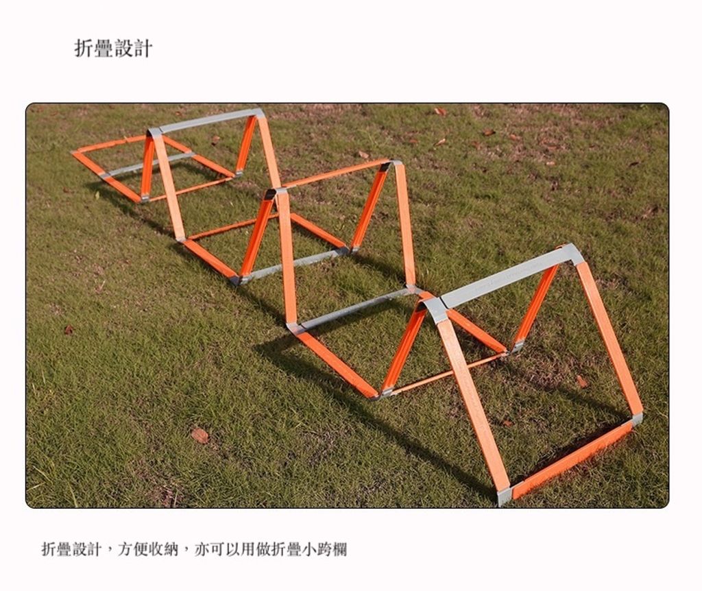 S__26452100.jpg