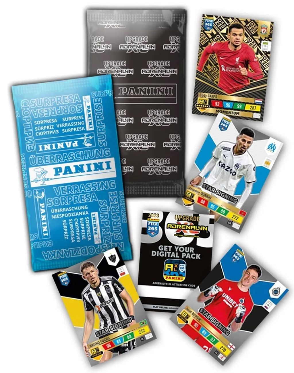 Panini FIFA 365: 2023-2024. Adrenalyn XL 的集换式卡牌，清单和照片