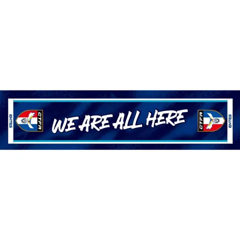 entes 2024 towel