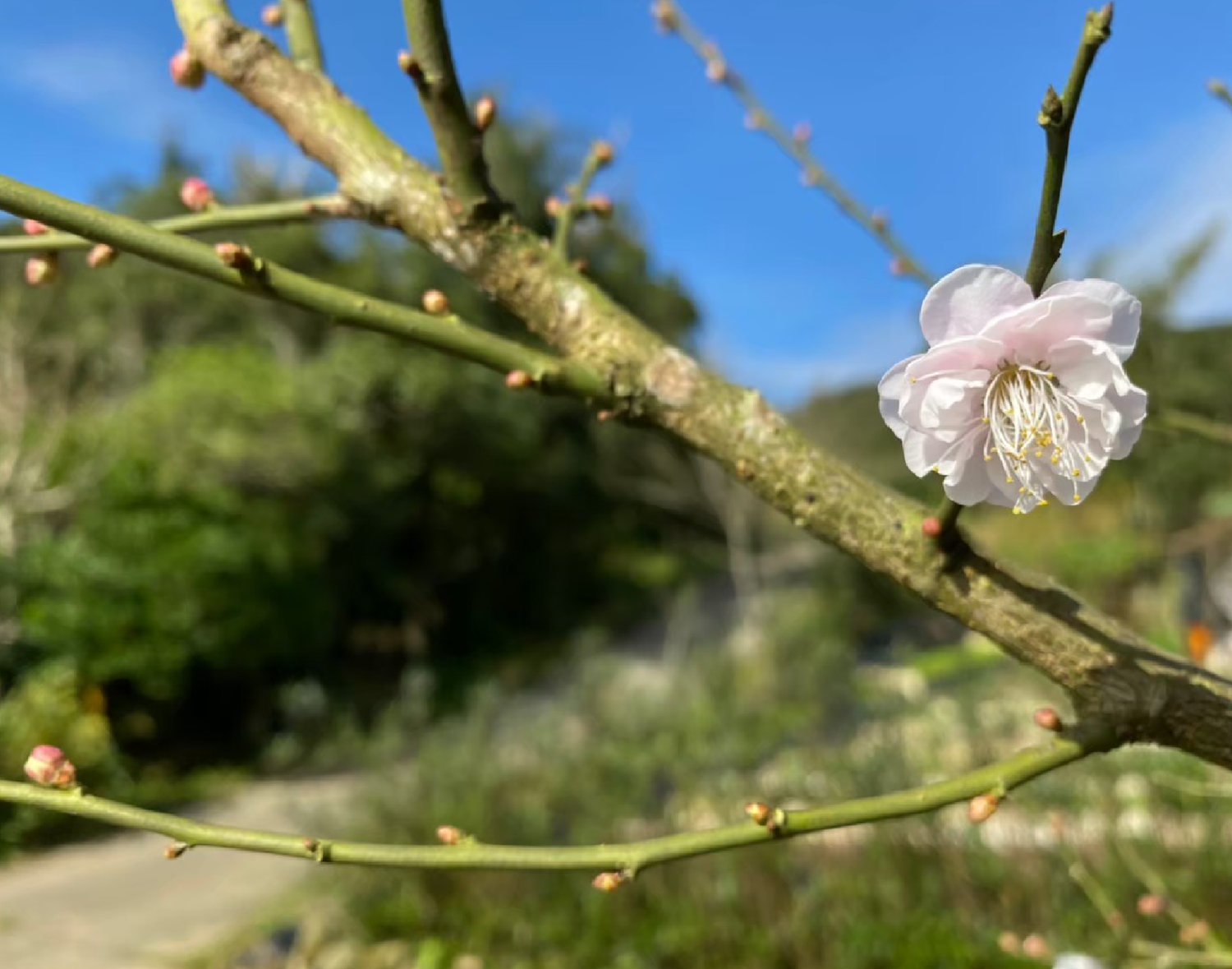 新北市農會文山茶推廣中心歡迎您來喝茶！ | 文山茶推廣中心FB粉絲團