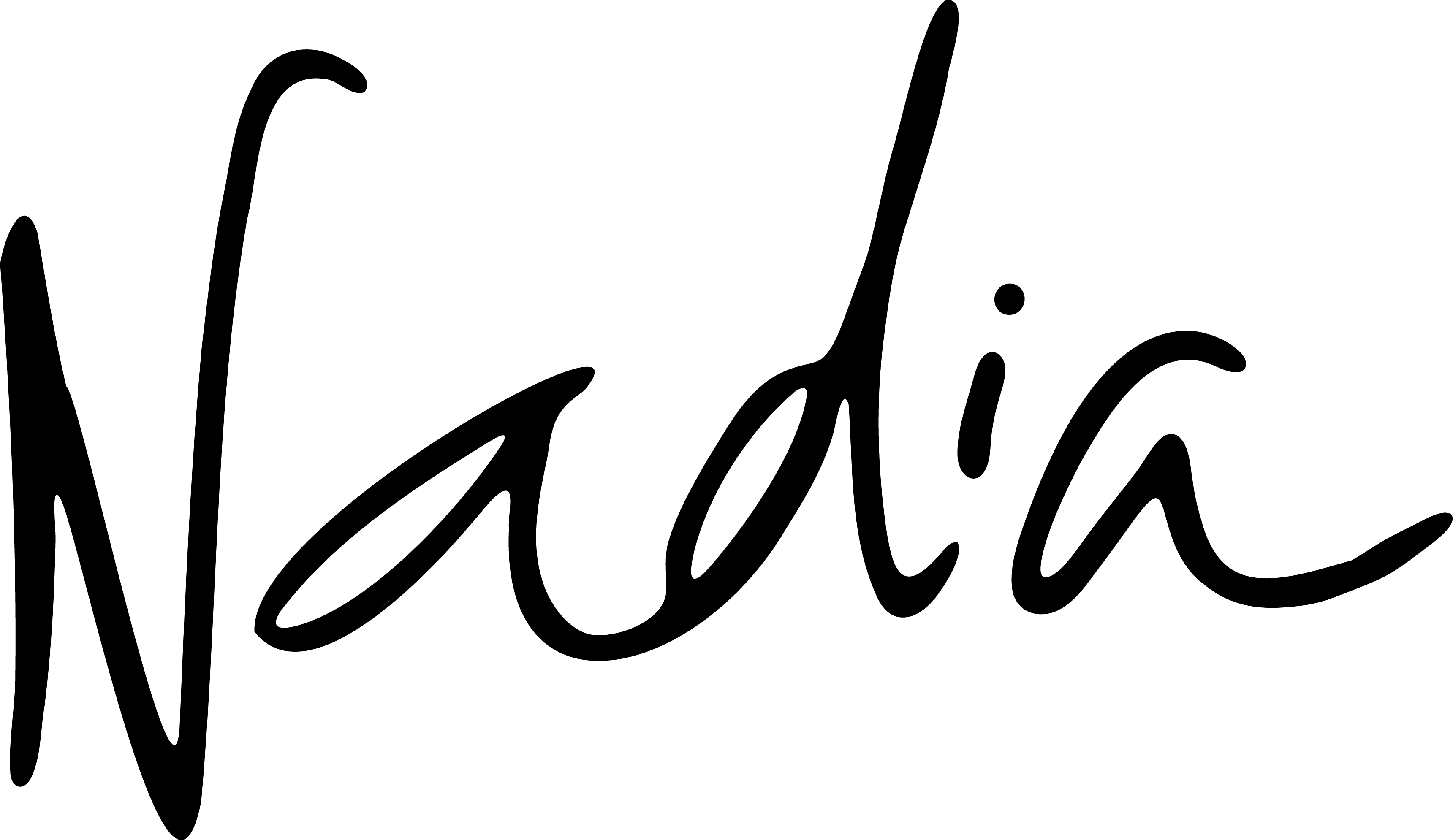 Pn Nadia Signature_Black