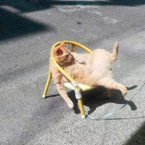 WhatsApp Image 2020-11-27 at 2.31.26 PM.jpeg