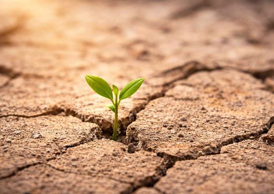 12月教宗全球共同祈禱意向-請為處於衝突環境中的基督徒祈禱 | 玫瑰園聖物小舖Rgcas