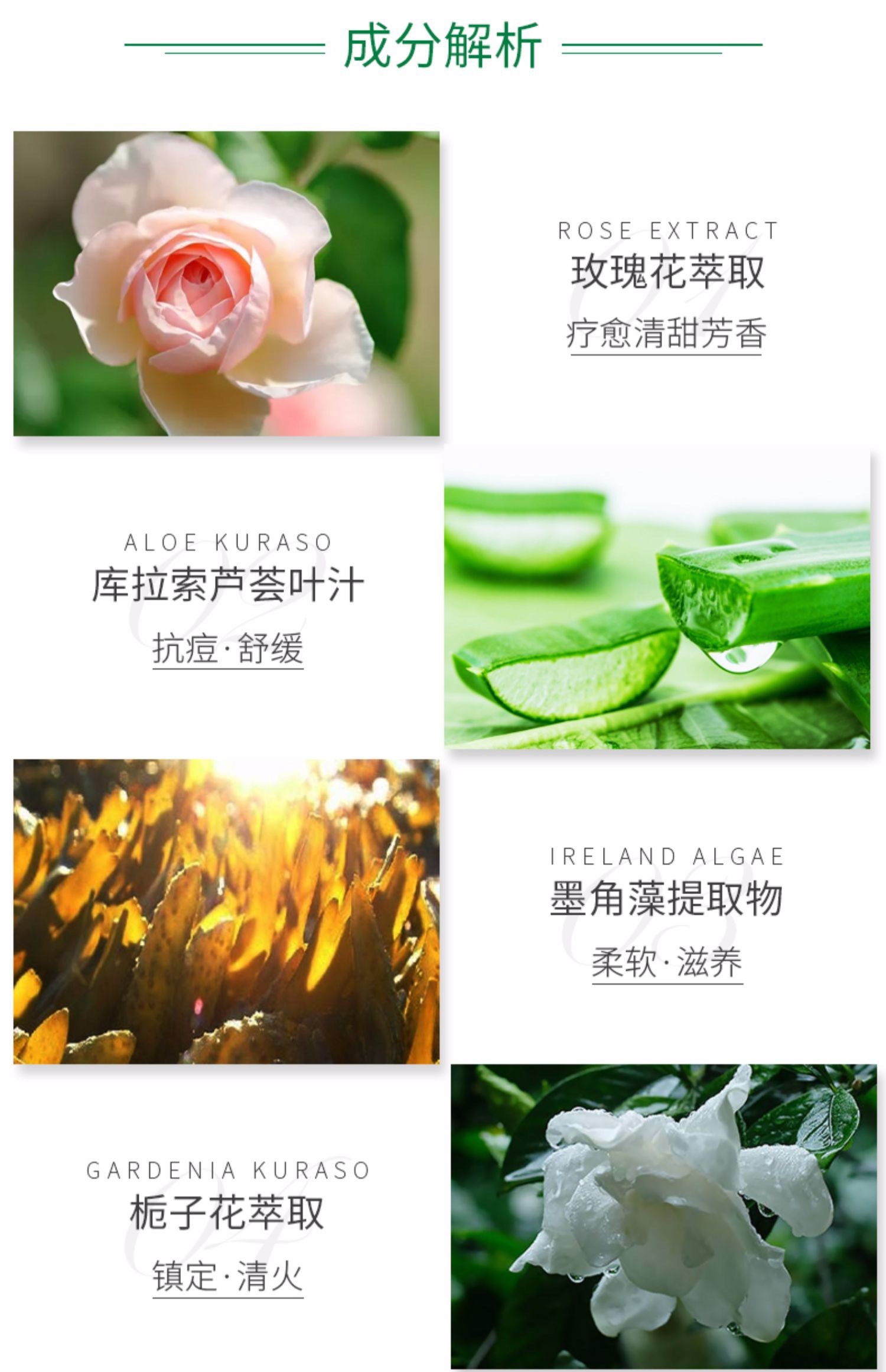 C7A8BC10-00D6-451D-BBDA-49B0E7053738.jpeg