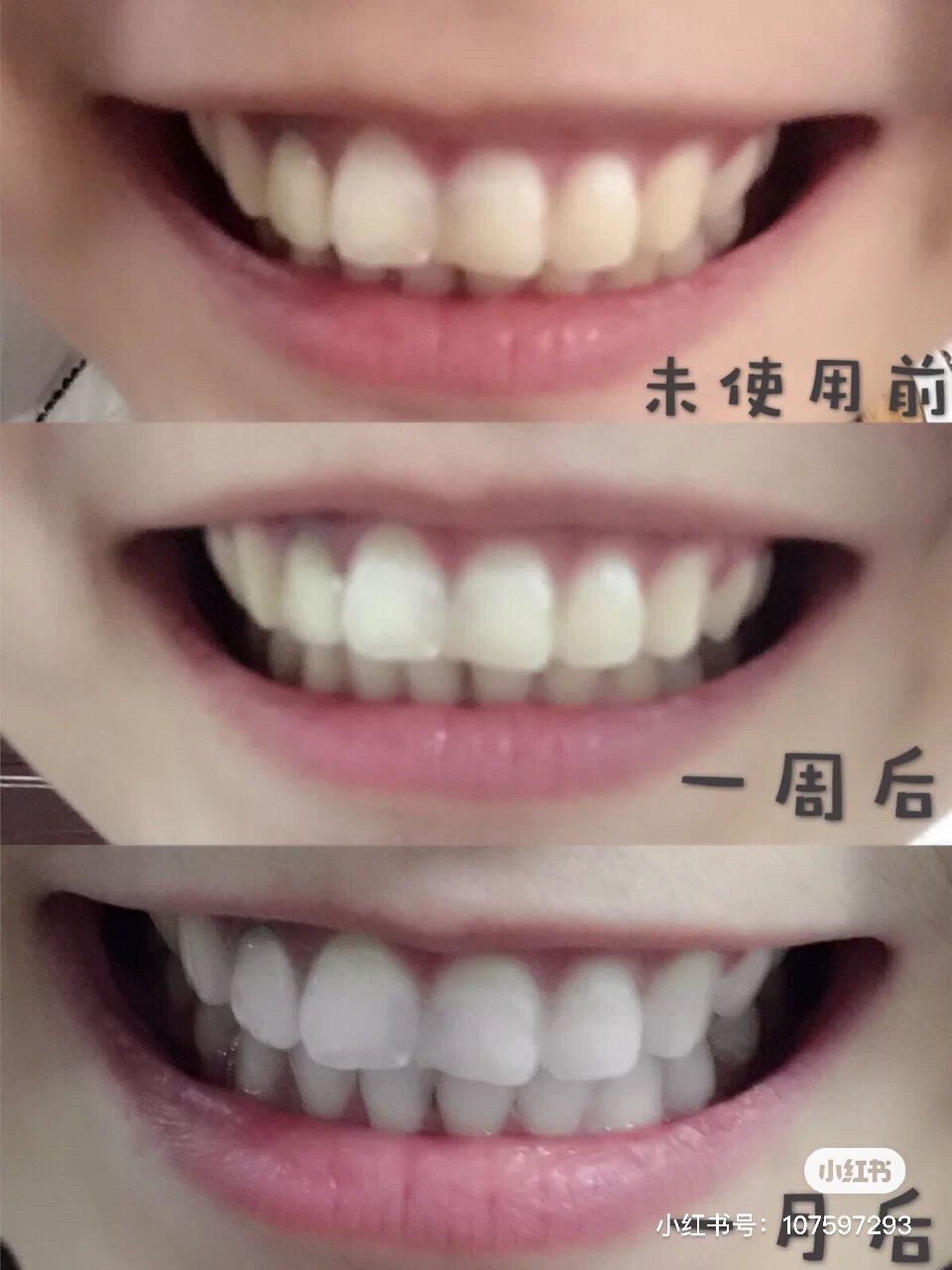 CD529137-3D09-4798-8F8B-F02CF32516DE.jpeg