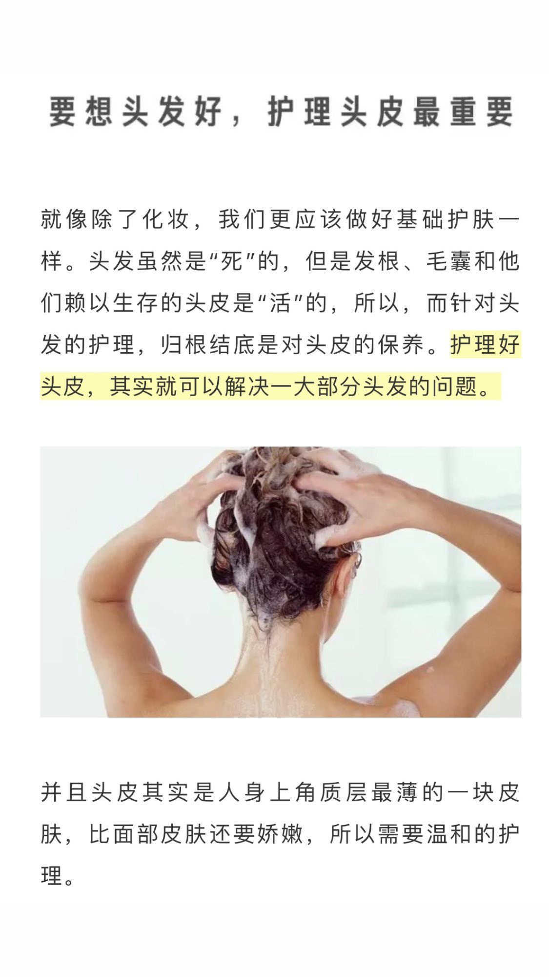 5830D0F9-DC54-48BD-BBD4-804D56DA67CF.jpeg