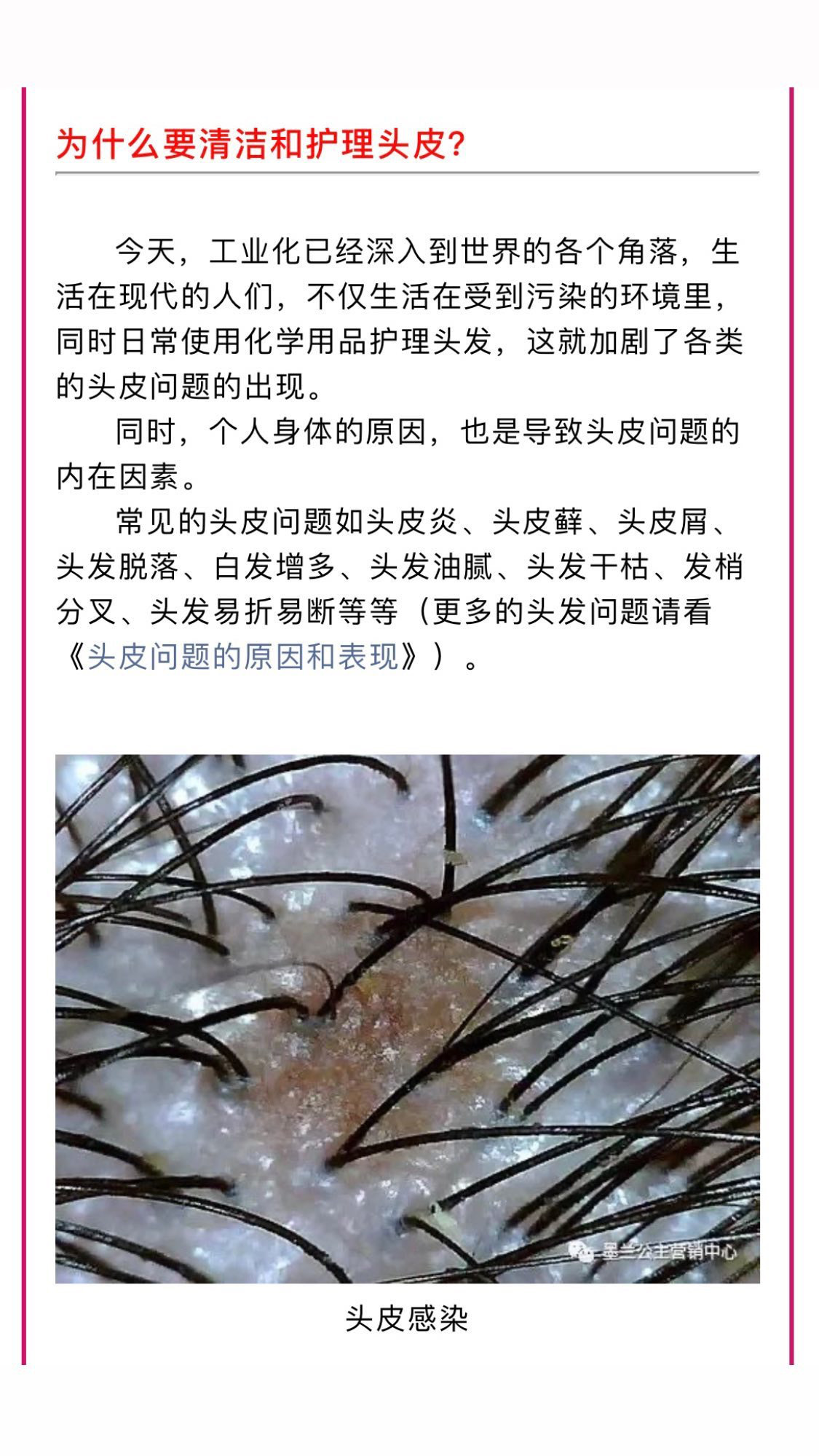 A78156DB-64C2-4C5D-B193-C900F981B179.jpeg