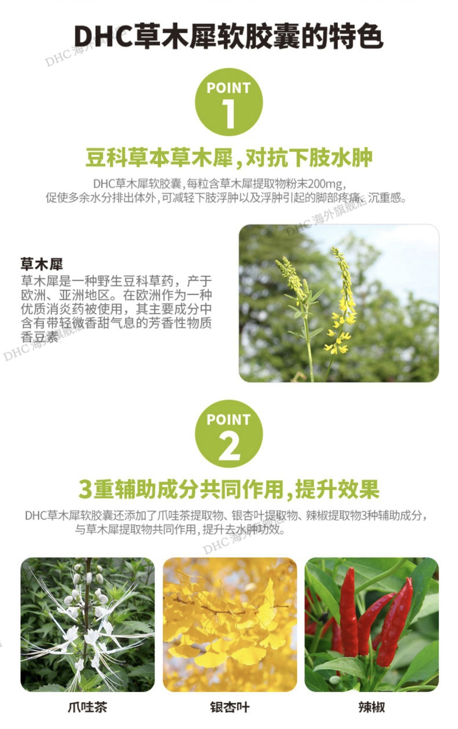 B093EF86-6A68-46C3-8F3E-89BC1B429776.jpeg