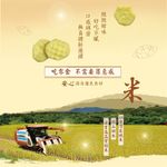 sweetpotato-3.jpg