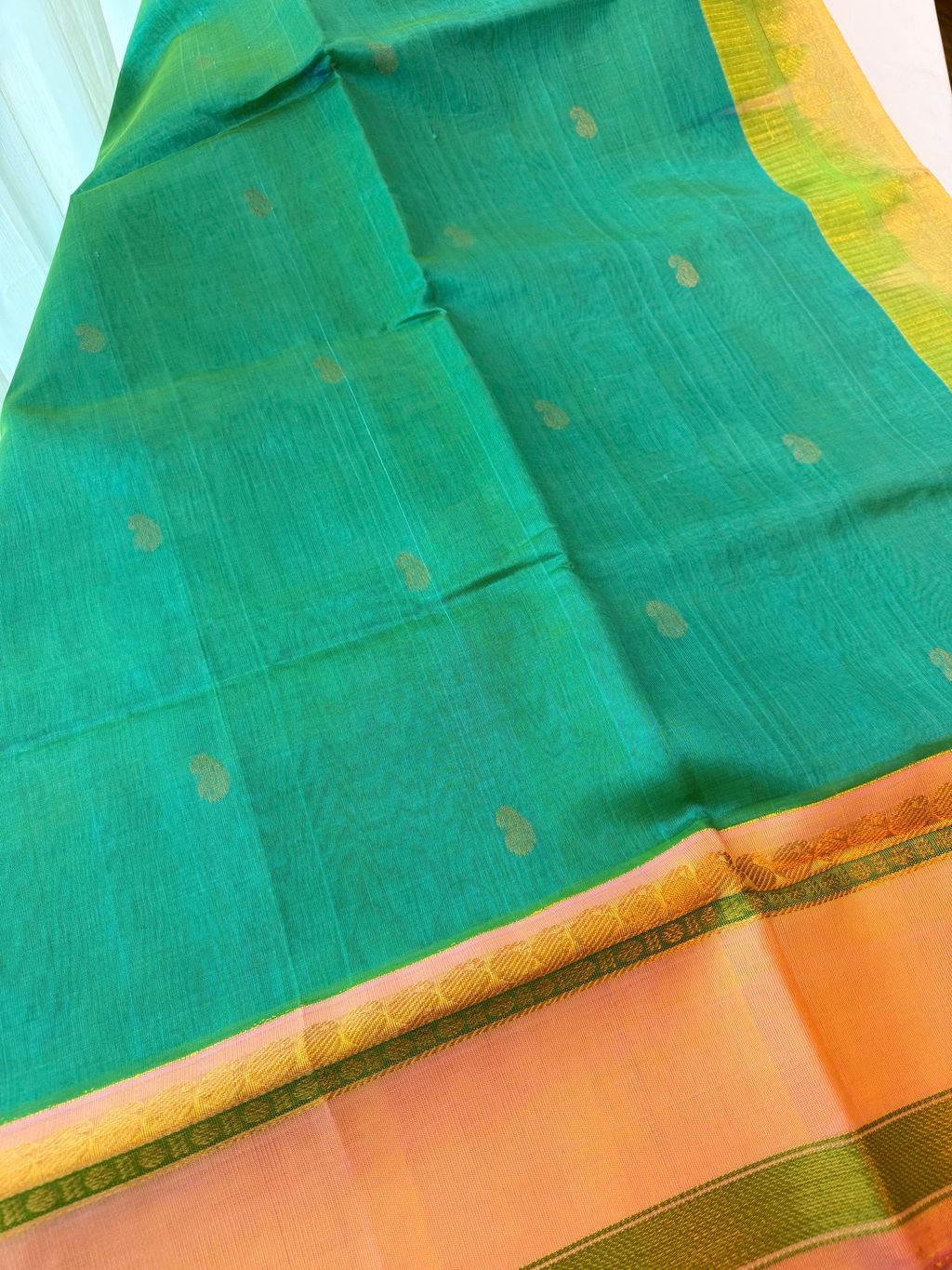 image_66F39873-5EF1-4C24-BA08-AF49BD5E7468_1775449170