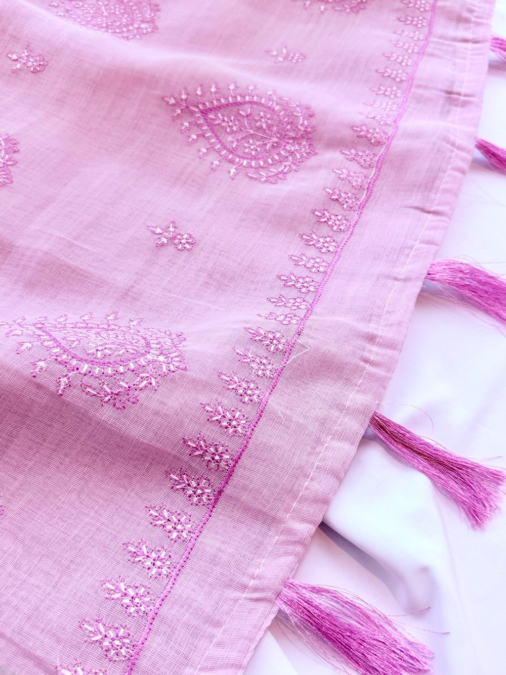 image_53F566D3-BD7E-4337-9840-D8EE4FC22FA7_1775529139