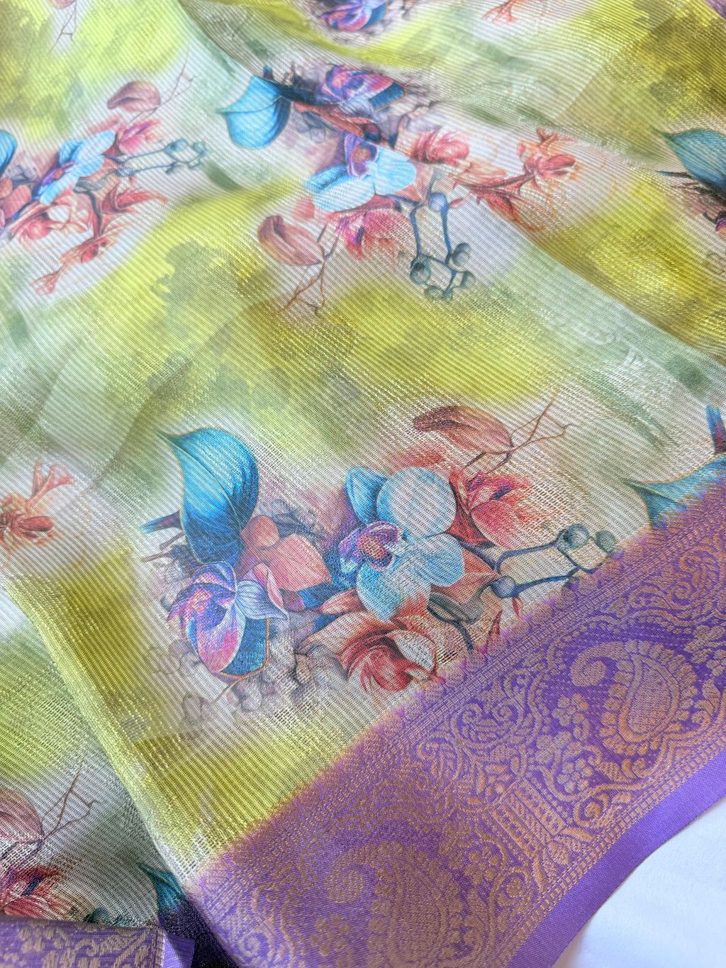 image_5F79C373-810C-4A78-87B1-EB1723632AFD_1776666151