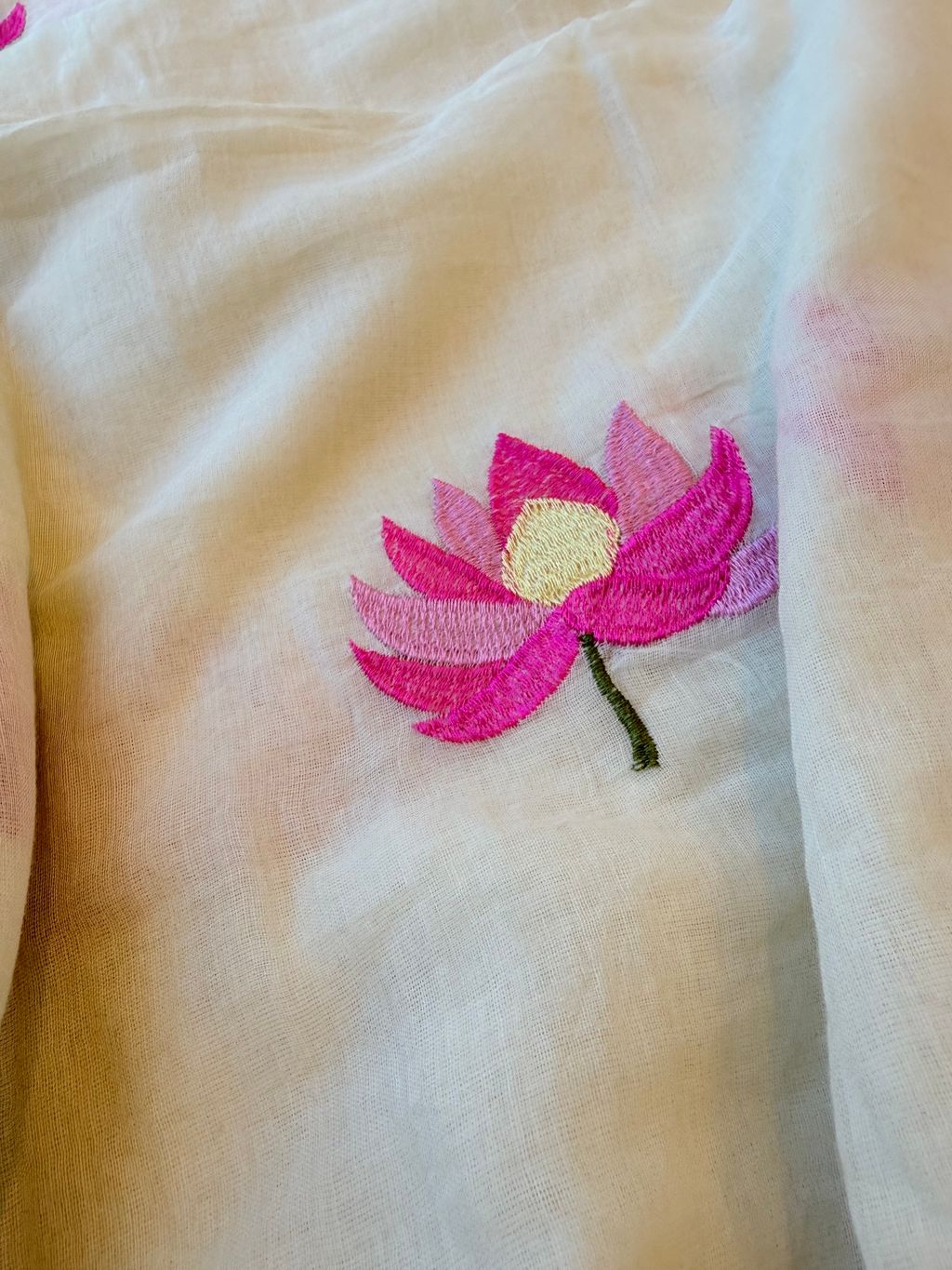 image_DC54D96D-9958-4E90-B8A5-A0F0C0065814_1777263355