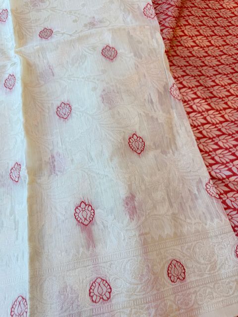 image_80FC305B-B8FA-4DEA-900A-A30CF2F49E5E_1777433398