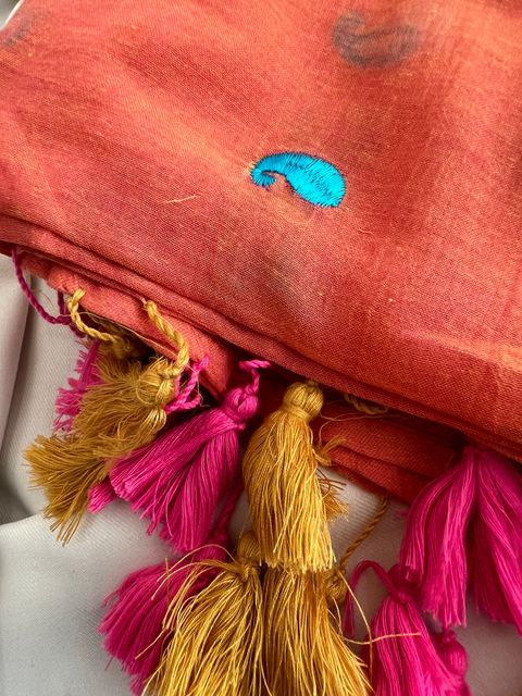 IMG_2483-1698202950797