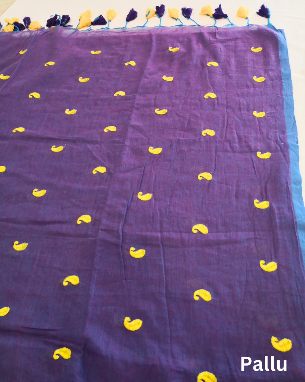 IMG_2495-1698216589139