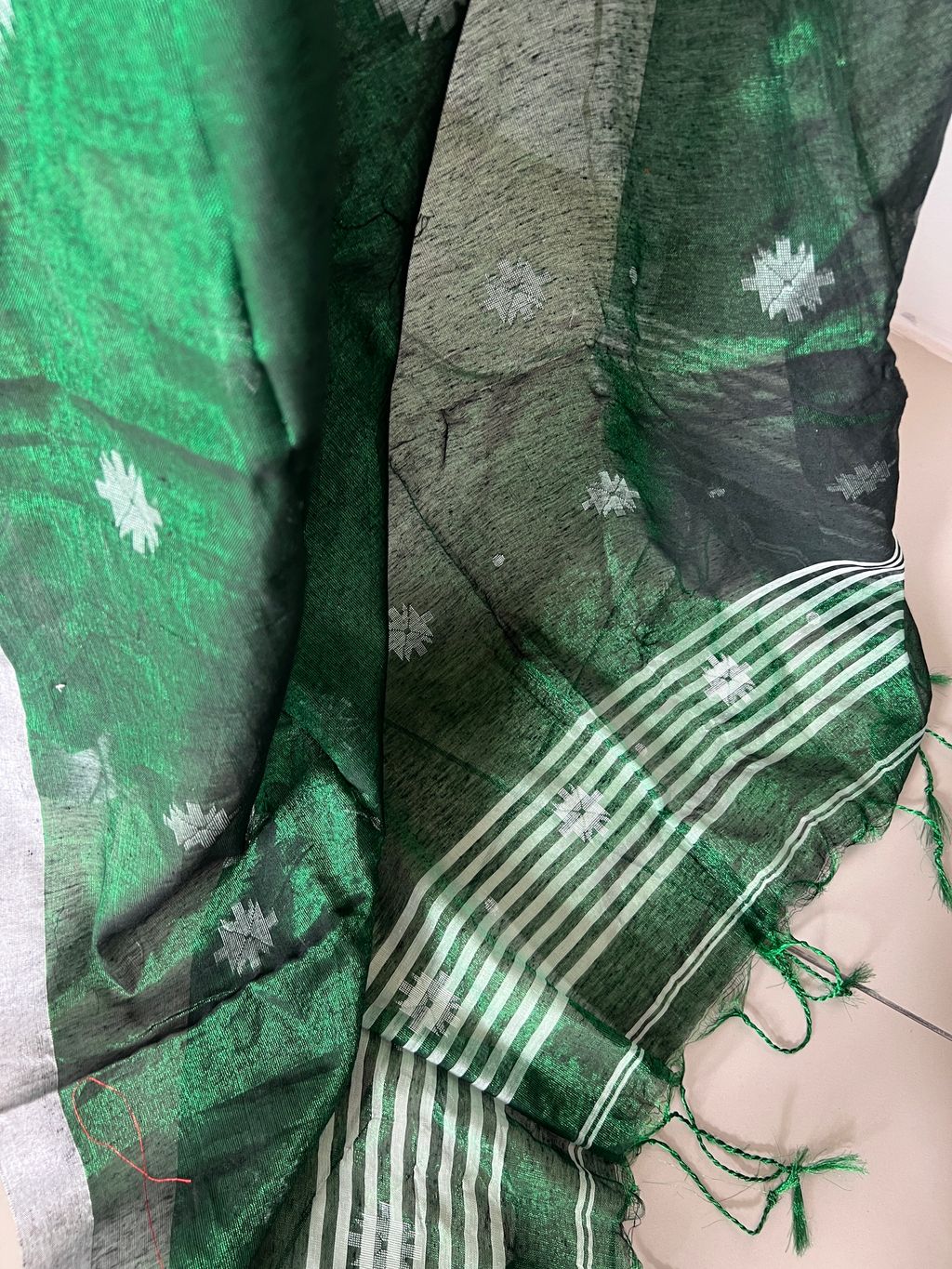 IMG_2397-1725003089342