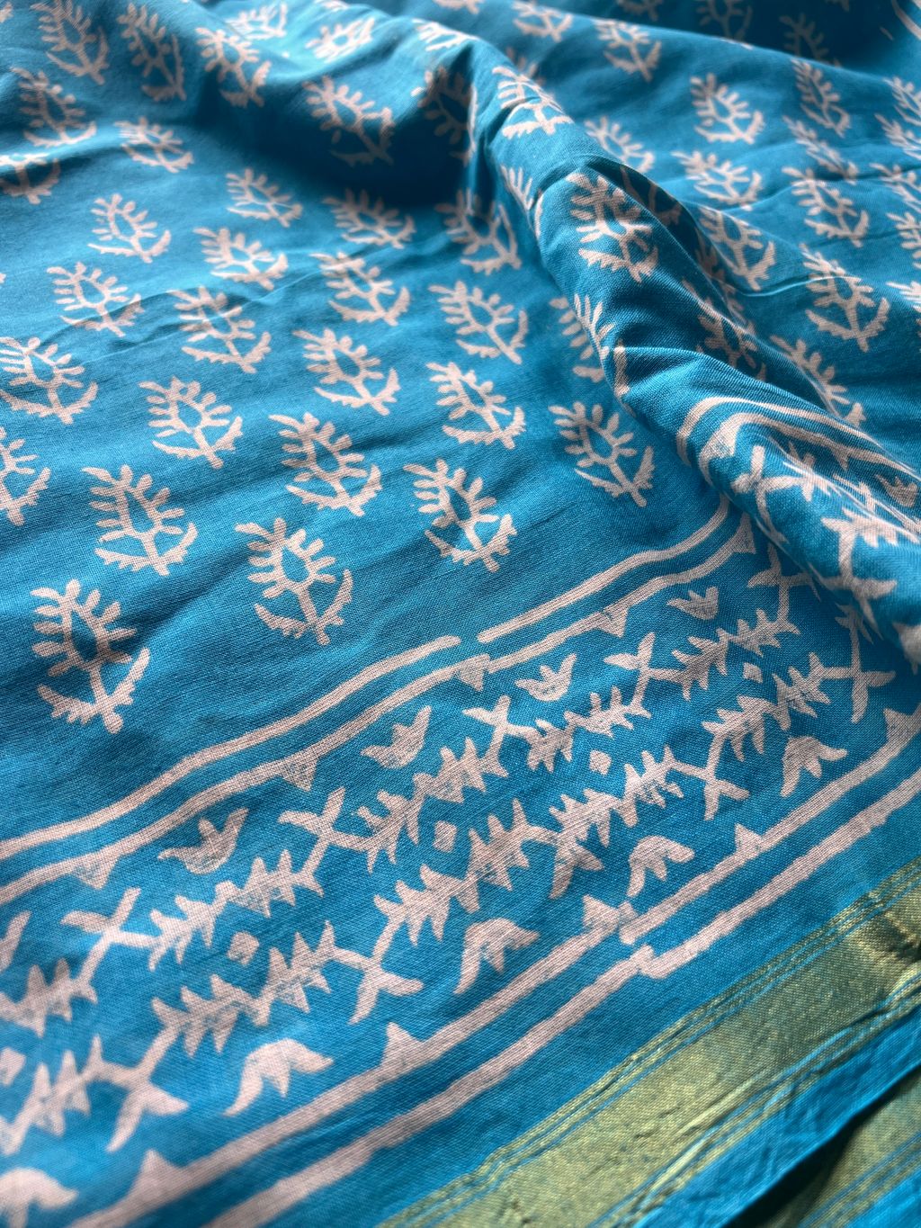 IMG_2708-1725345931668