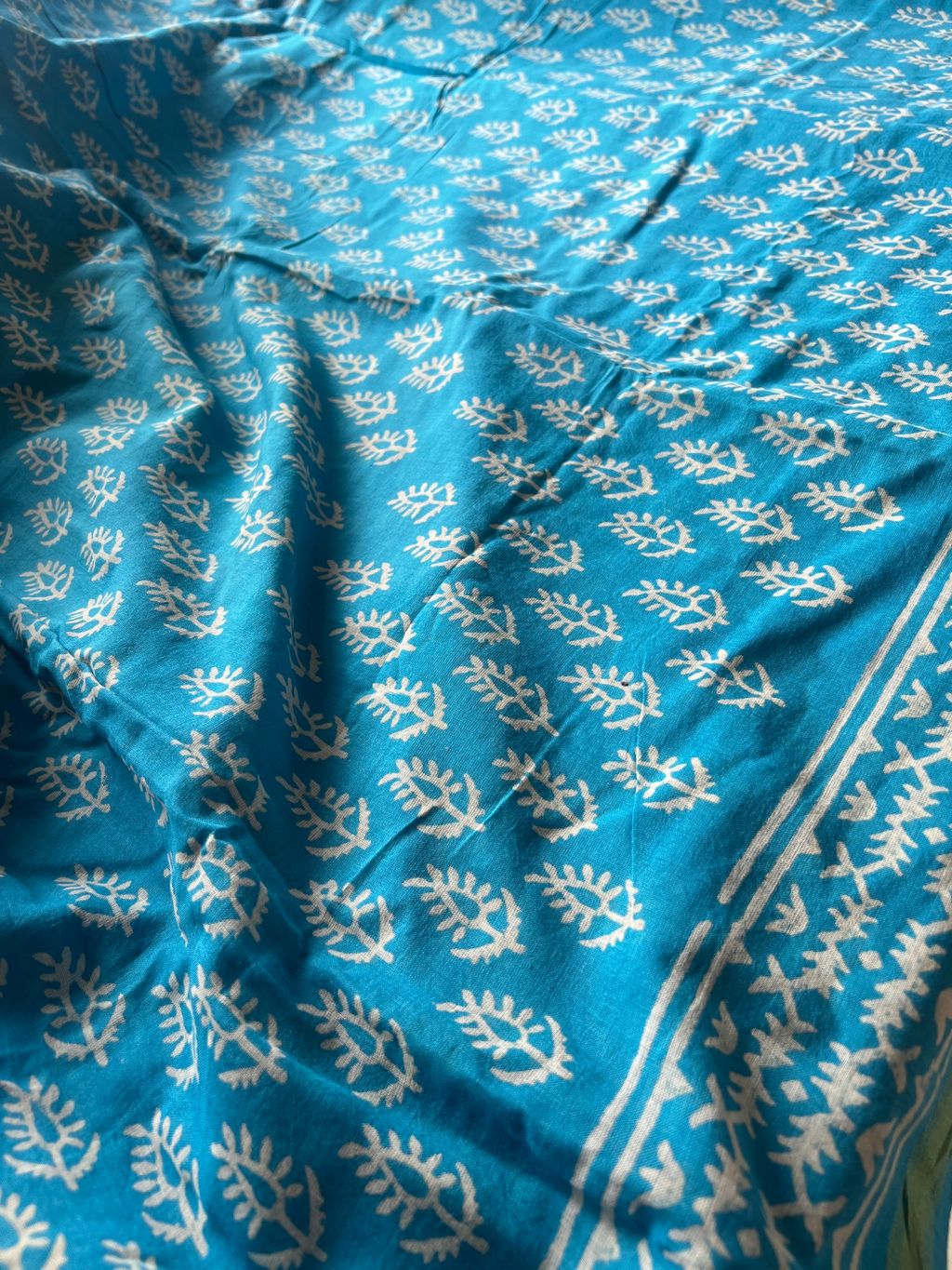 IMG_2710-1725345931679