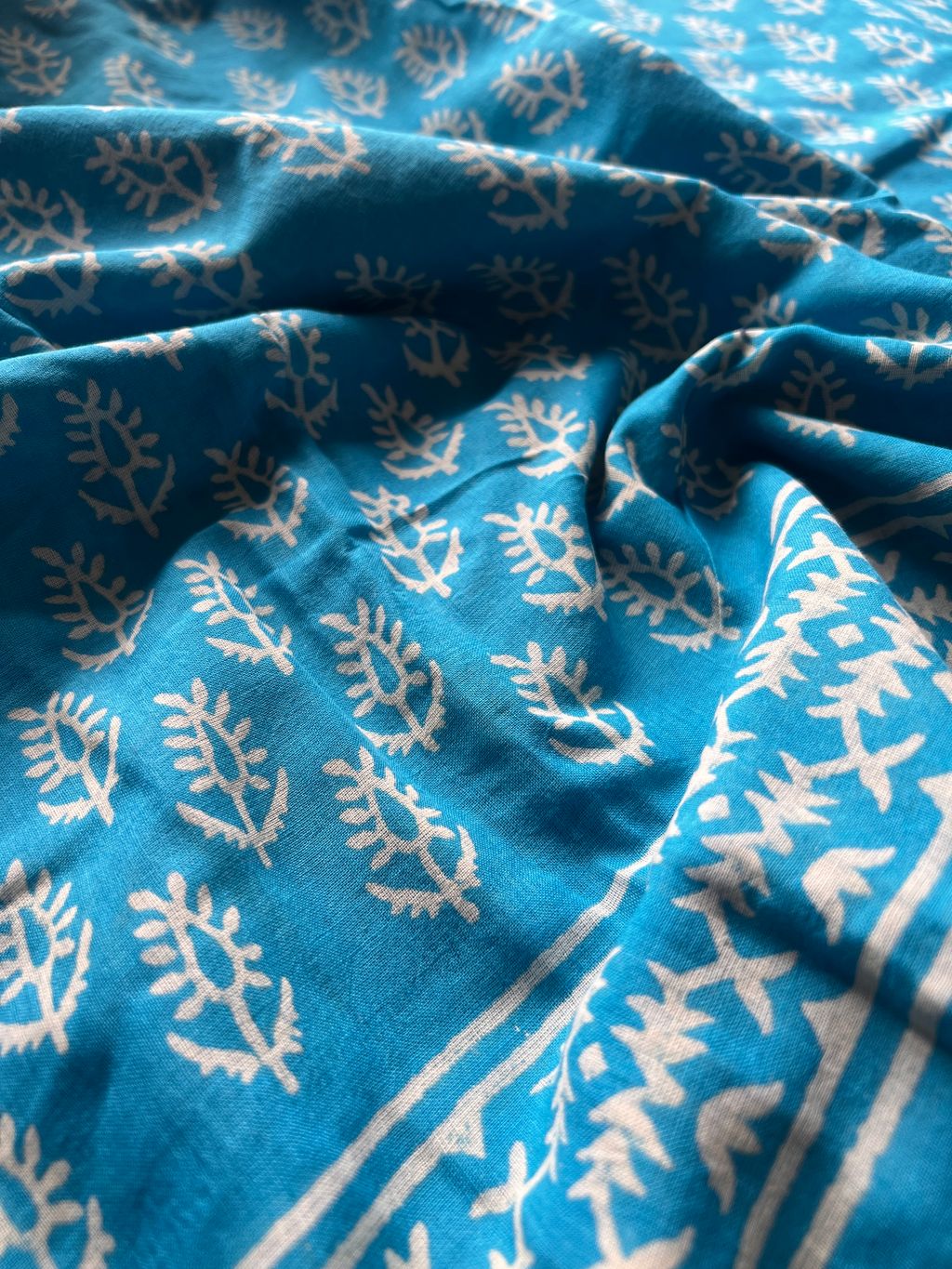 IMG_2711-1725345931687