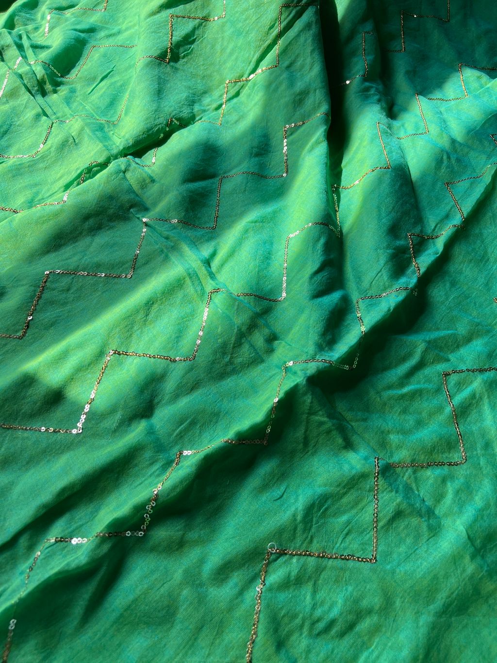 IMG_2844-1725418973844