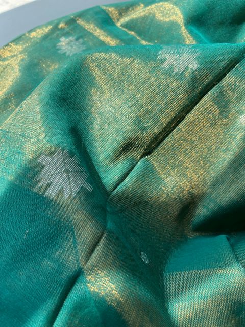 IMG_2872-1725419650475