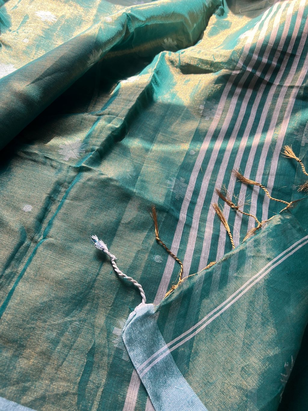 IMG_2876-1725419650502