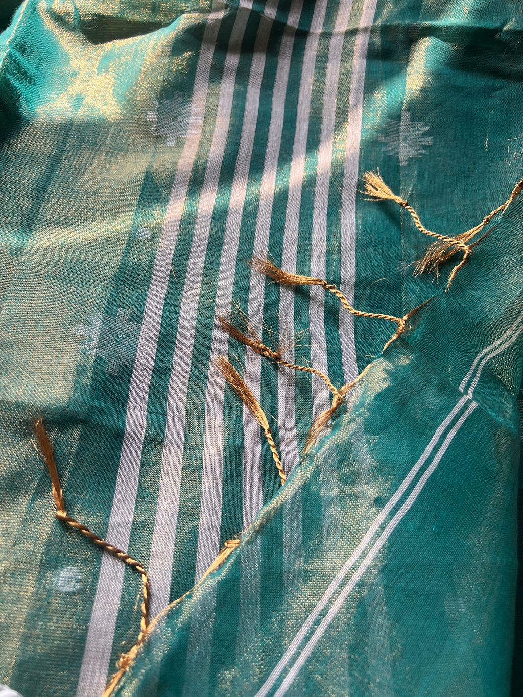 IMG_2877-1725419650511