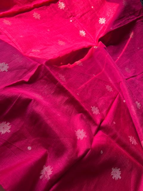 IMG_2879-1725419700776