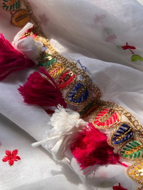 IMG_2863-1725423635586