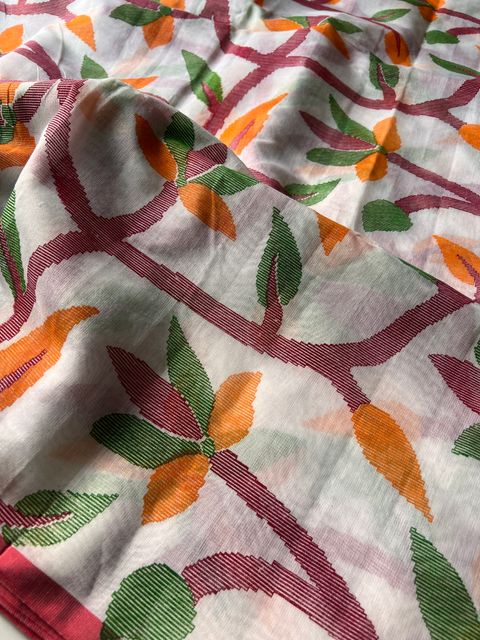 IMG_2990-1725428364550